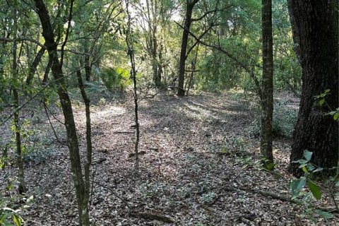 Land in Dunnellon, Florida № 2298958