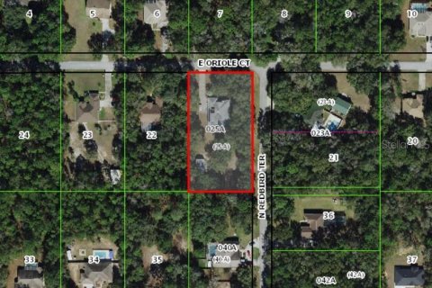 Casa en venta en Hernando, Florida, 3 dormitorios, 189.24 m2 № 2321051 - foto 23