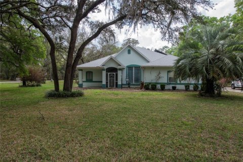 Villa ou maison à Hernando, Floride 3 chambres, 189.24 m2 № 2321051