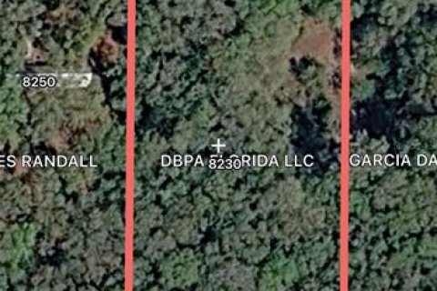 Land in Fanning Springs, Florida № 2211862 - photo 3