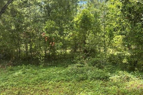 Land in Fanning Springs, Florida № 2211862