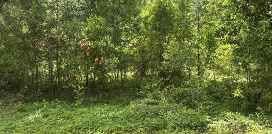 Land in Fanning Springs, Florida № 2211862