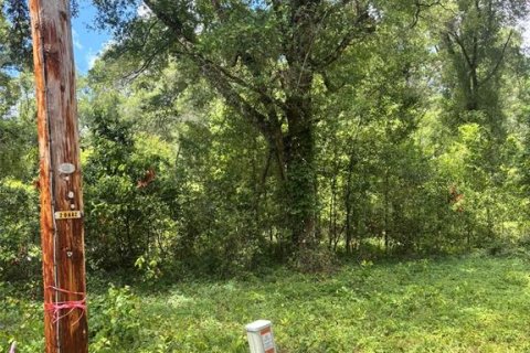 Land in Fanning Springs, Florida № 2211862 - photo 2