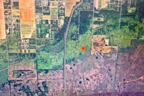 Commercial property in Homestead, Florida № 2008427