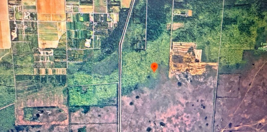 Commercial property in Homestead, Florida № 2008427