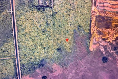 Commercial property in Homestead, Florida № 2008427 - photo 3