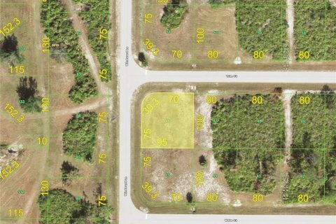 Land in Placida, Florida № 2162247