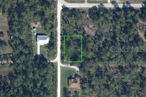 Land in Sebring, Florida № 2160902 - photo 2