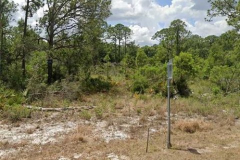 Land in Sebring, Florida № 2160902