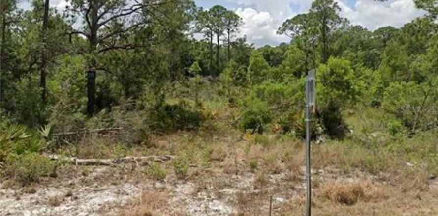Land in Sebring, Florida № 2160902