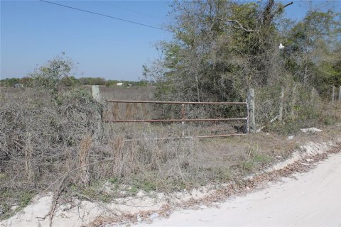 Terrain à vendre à Bell, Floride № 2102194 - photo 24