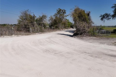 Terrain à vendre à Bell, Floride № 2102194 - photo 25