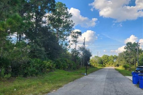 Land in Sebring, Florida № 2163645 - photo 3