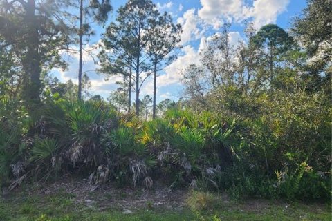 Land in Sebring, Florida № 2163645