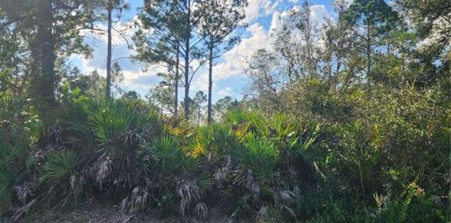 Land in Sebring, Florida № 2163645