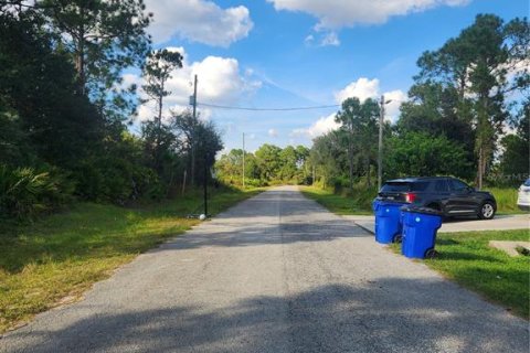 Land in Sebring, Florida № 2163645 - photo 4