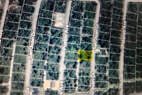 Land in Sebring, Florida № 2163645 - photo 7
