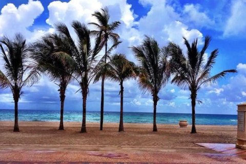 Propiedad comercial en venta en Hollywood, Florida № 1954882 - foto 19