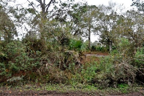 Land in North Port, Florida № 2160647