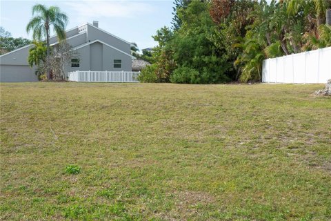 Land in Tierra Verde, Florida № 1717537 - photo 20