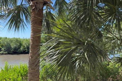 Touwnhouse à vendre à Ruskin, Floride: 2 chambres, 110 m2 № 2422797 - photo 21