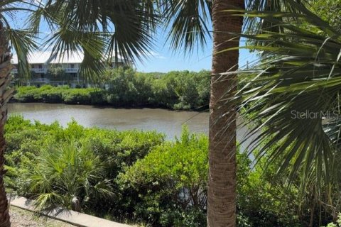 Touwnhouse à vendre à Ruskin, Floride: 2 chambres, 110 m2 № 2422797 - photo 22