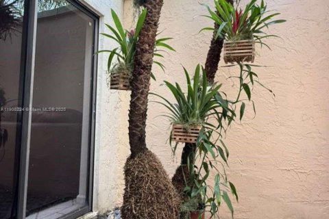 Снять в аренду виллу или дом в Майами, Флорида 4 спальни, 147.44м2, № 1964300 - фото 20