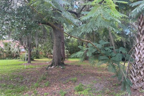 Terreno en venta en Gainesville, Florida № 1617912 - foto 9