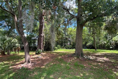 Terreno en venta en Gainesville, Florida № 1617912 - foto 6