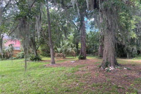Terreno en venta en Gainesville, Florida № 1617912 - foto 10