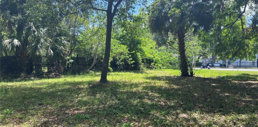 Terreno en Gainesville, Florida № 1617912