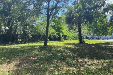 Terreno en venta en Gainesville, Florida № 1617912 - foto 4