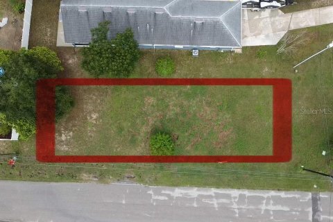 Land in Clermont, Florida № 1782412 - photo 3