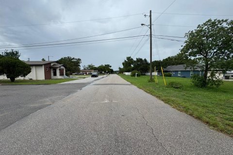Land in Clermont, Florida № 1782412 - photo 4