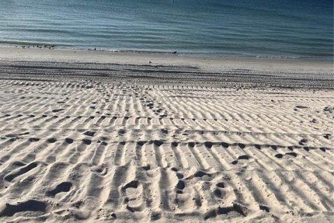Copropriété à vendre à Belleair Beach, Floride: 1 chambre, 72.28 m2 № 2399430 - photo 12