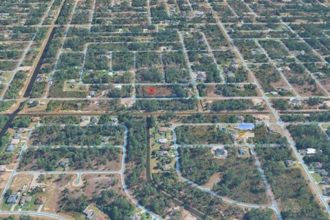 Land in Lehigh Acres, Florida № 2159134 - photo 9