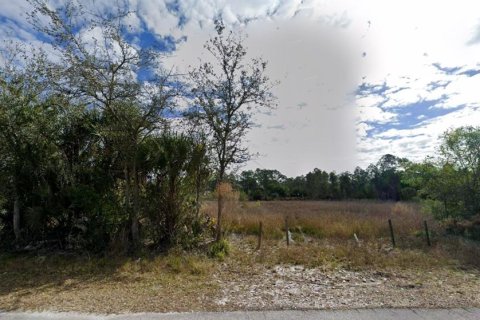 Land in Lehigh Acres, Florida № 2159134 - photo 3
