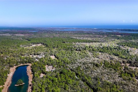 Land in Palm Coast, Florida № 2102900 - photo 12