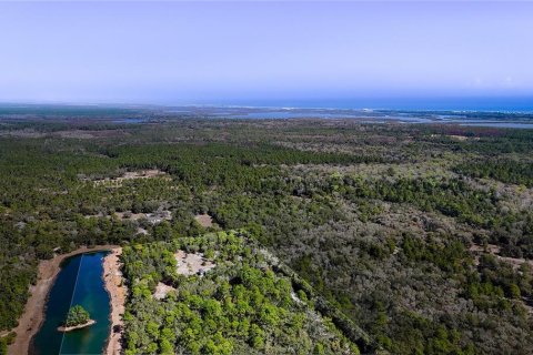 Land in Palm Coast, Florida № 2102900 - photo 13