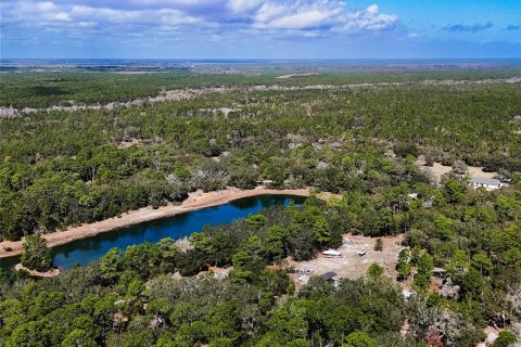Land in Palm Coast, Florida № 2102900 - photo 7