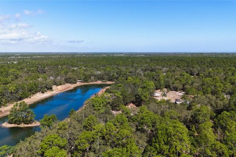 Land in Palm Coast, Florida № 2102900 - photo 9