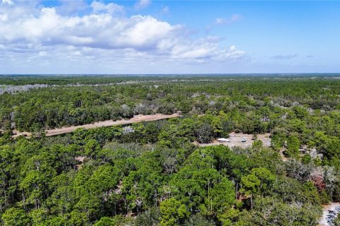 Land in Palm Coast, Florida № 2102900 - photo 14