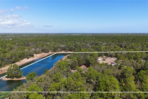Land in Palm Coast, Florida № 2102900 - photo 10