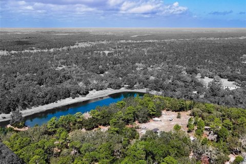 Land in Palm Coast, Florida № 2102900 - photo 8
