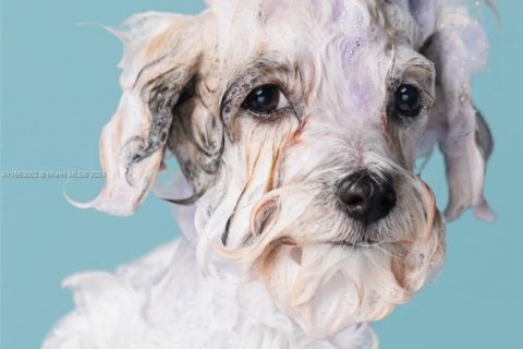 Commercial property in Pembroke Pines, Florida № 1984746 - photo 5