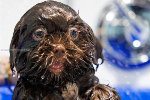 Commercial property in Pembroke Pines, Florida № 1984746 - photo 4