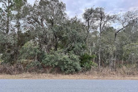 Land in Brooksville, Florida № 1895011 - photo 1