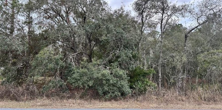 Land in Brooksville, Florida № 1895011