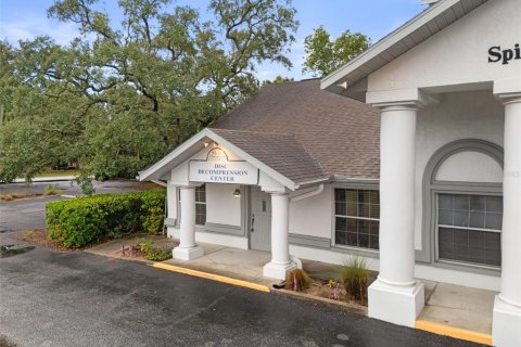 Commercial property in Spring Hill, Florida 531.4 sq.m. № 2205390 - photo 22