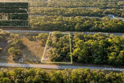 Land in Dunnellon, Florida № 2161599